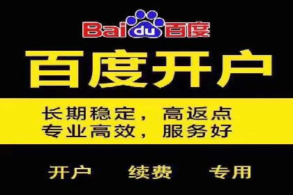 百度SEO推广公司案例分享：行业佼佼者经验